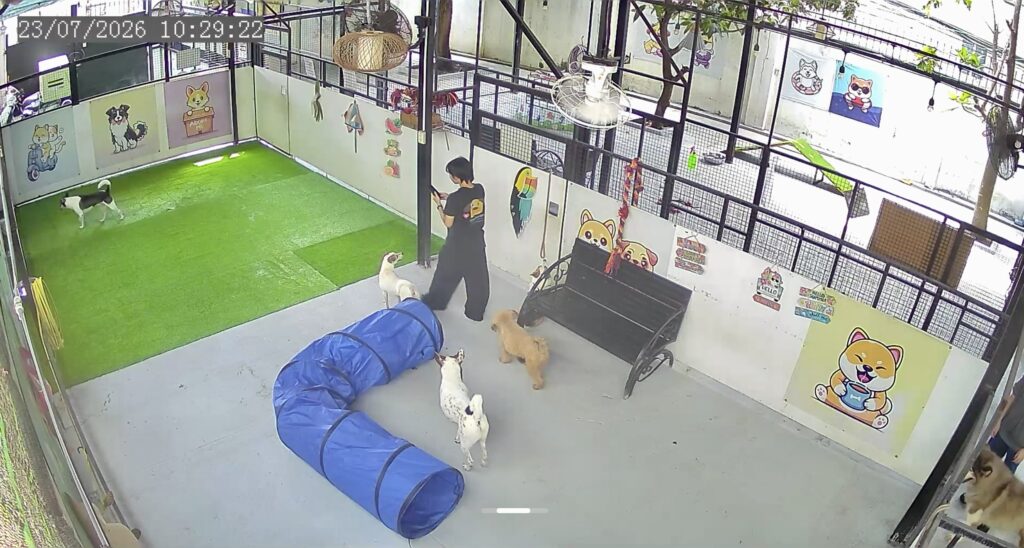 Doggie Ranch FDM